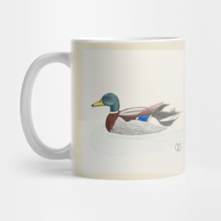 Mallard duck drake Mug